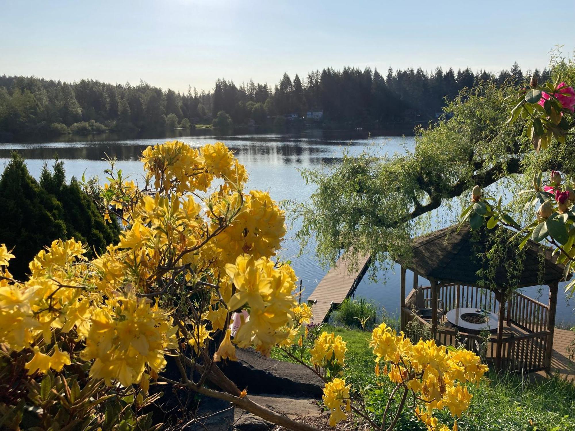 Cottage Lake Bed And Breakfast Woodinville Luaran gambar