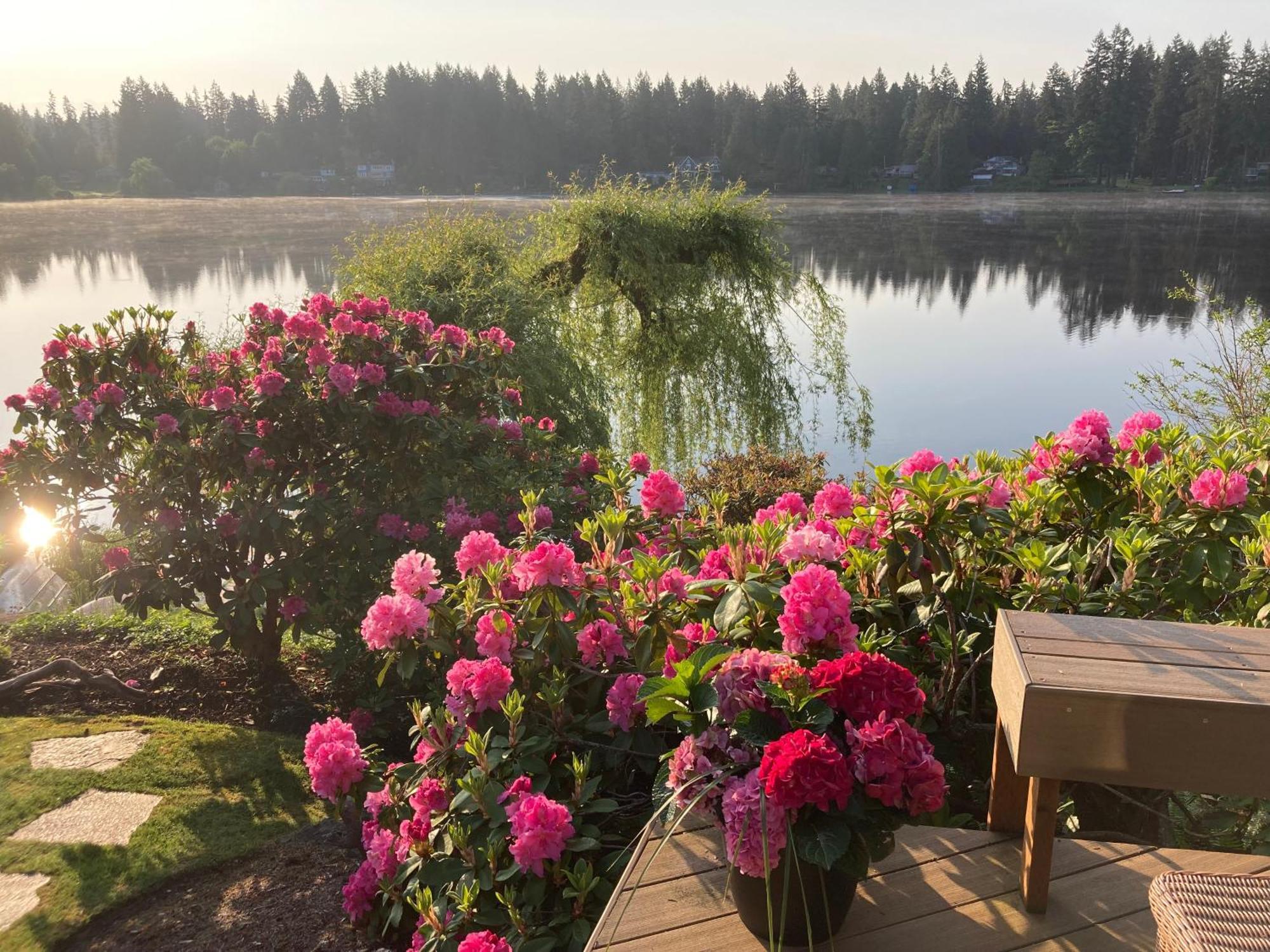 Cottage Lake Bed And Breakfast Woodinville Luaran gambar