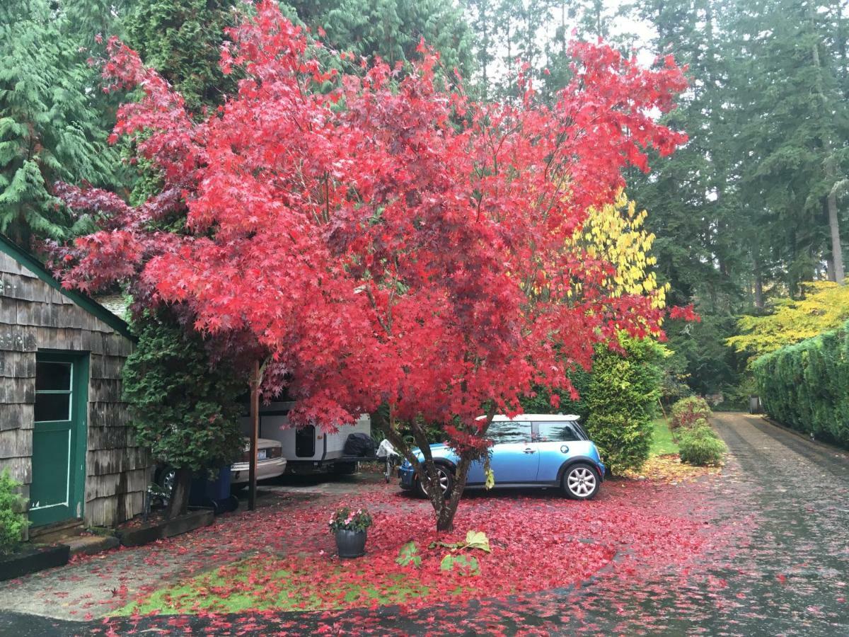 Cottage Lake Bed And Breakfast Woodinville Luaran gambar