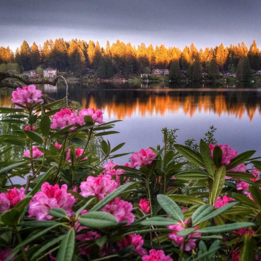 Cottage Lake Bed And Breakfast Woodinville Luaran gambar